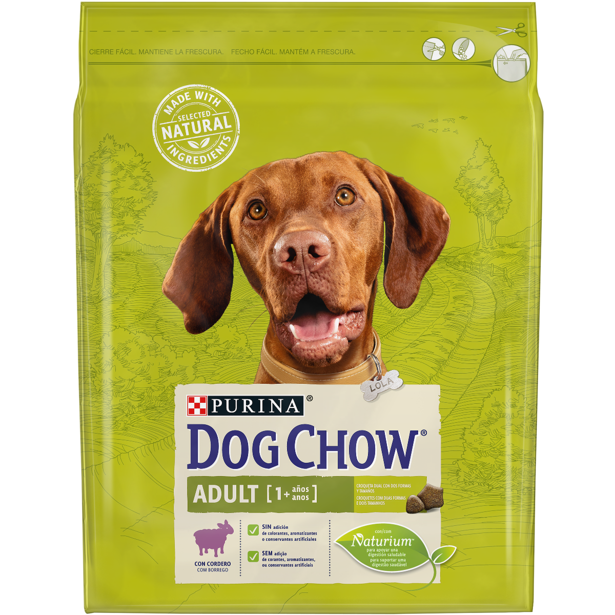 Purina dog sales chow mature