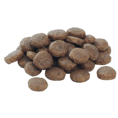 Purina proplan medium puppy online
